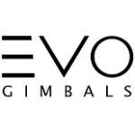 Best 5 Evo Gimbal Models For You To Choose In 2020 Reviews